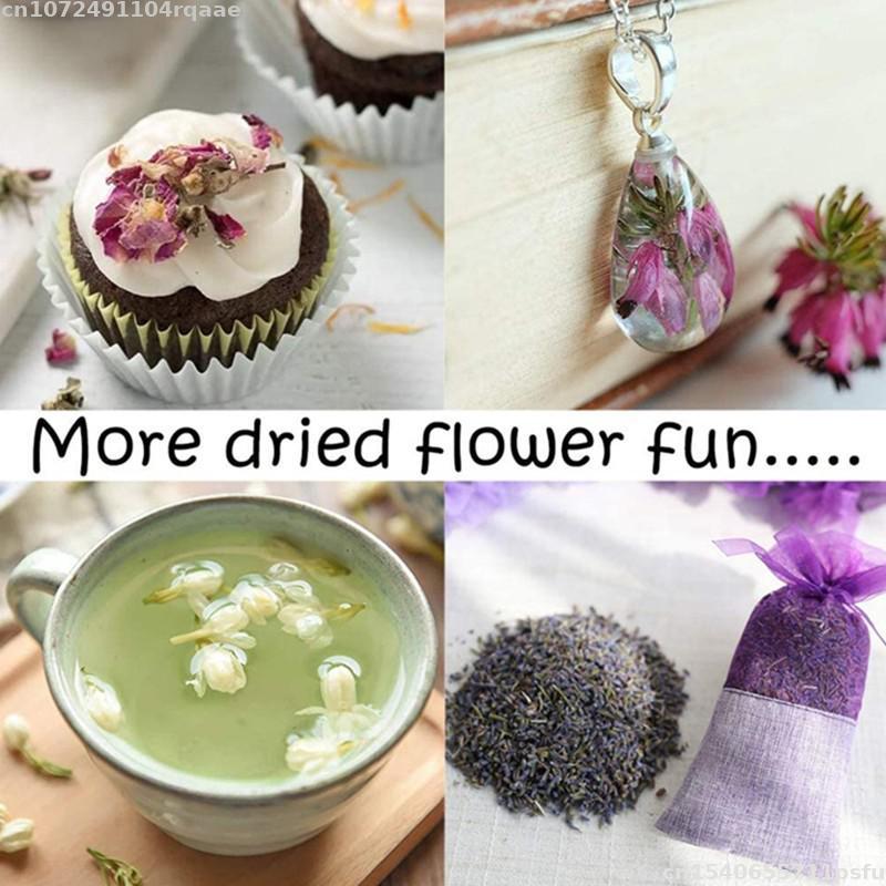 Flores Secas 100% Naturais Bra - Candle Making Material Wholesale avaliação e preço